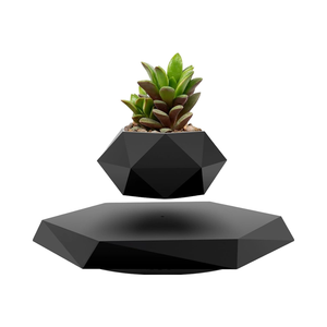 Mag Pot à plantes en lévitation Support flottant <span class=keywords><strong>pour</strong></span> plantes succulentes Petites plantes <span class=keywords><strong>pour</strong></span> la maison Salon <span class=keywords><strong>Bureau</strong></span> <span class=keywords><strong>Bureau</strong></span> - Product Image 1