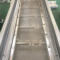 Machine de tamisage vibratoire linéaire en acier inoxydable, écran vibrant linéaire horizontal pour le sel et le sucre