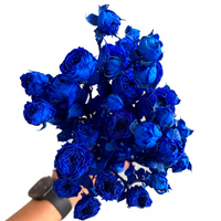 Buket Mawar Mentha Awet Dua Kepala - Bunga Abadi untuk Hadiah Hari Valentine & Ulang Tahun