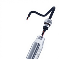 CYW03 Star Meter Piezoresistive Osmometer Dam Drilling Custom Hydraulic Water Pressure Monitoring Submersible Stainless Steel
