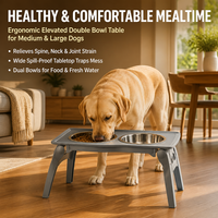 Gamelle surélevée en acier inoxydable pour animaux de compagnie, design respectueux des moustaches avec support cervical, compatible lave-vaisselle pour petits et moyens animaux
