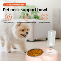 Double gamelle pour chien et chat, ensemble de bols écologiques en plastique pour eau et nourriture, distributeur d'eau automatique détachable, bouteille, mangeoire pour animaux de compagnie, intérieur