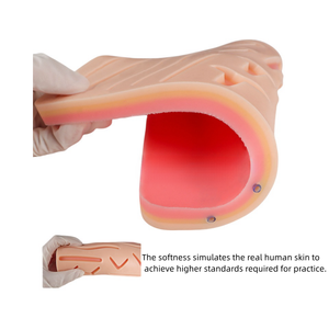 Un modèle <span class=keywords><strong>de</strong></span> <span class=keywords><strong>pratique</strong></span> à double usage pour <span class=keywords><strong>la</strong></span> ponction veineuse et <span class=keywords><strong>la</strong></span> suture des plaies .. - Product Image 3