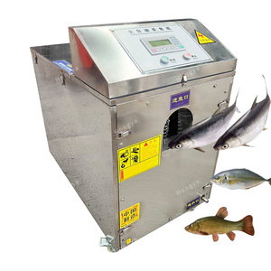 Machine à découper les filets de poisson de petite et grande taille, équipement de transformation du poisson, machine à écailler et à éviscérer le poisson - Product Image 3