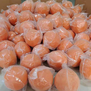 Pompa Beton Pembersih Bola 6 Inci, Bola Spons Warna Oranye untuk Truk Pompa Beton - Product Image 6