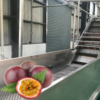 Natuurlijke Passie Sap Making Machine Vruchtensap Productielijn Juce Making Machine Vruchtensap