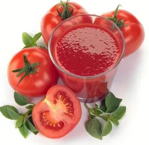 Linha de processamento de pasta de tomate, máquinas de fábrica de tomate planta deshidratada frutas