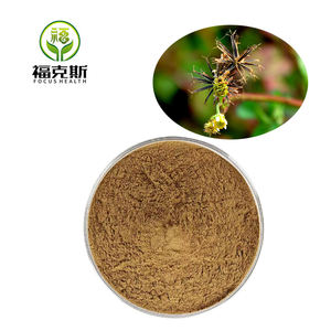 Großhandel natürliche Bidens Pilosa Extrakt Pulver Stick tight Pulver Stick tight Extrakt Bidens Pilosa - Product Image 2