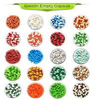 Offre Spéciale – Capsules Végétariennes Vierge de Pullulan Transparentes de Haute Qualité, Certifiées Halal et Casher, Capsules Vides Rigides pour Usage Pharmaceutique