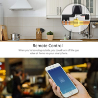 Contrôleur intelligent de sécurité domestique étanche avec commande vocale et application pour la coupure d'eau et de gaz, avec minuterie pour cuisine, jardin et ferme