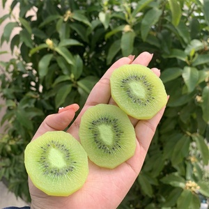Rebanadas de Kiwi Artificiales de PVC Realistas, Pequeñas e Irregulares, Decoración de Frutas Falsas, Modelo de Comida Simulada Verde, DIY 1:1 - Product Image 4