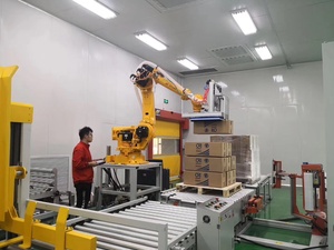 Hệ thống <span class=keywords><strong>palletizer</strong></span> <span class=keywords><strong>robot</strong></span>, ABB <span class=keywords><strong>Robot</strong></span> paletizer - Product Image 2