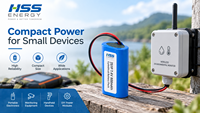 Batterie Li-ion 2S 7.4V 800mAh rechargeable avec BMS intégré pour dispositif de surveillance GPS et instrument portable OEM