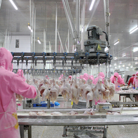 Abattoir modulaire halal Abattoir de poulets mobile Équipement d'abattage en abattoir