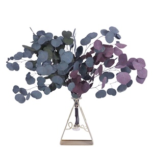 Ouverture d'un nouveau magasin: plante d'<span class=keywords><strong>eucalyptus</strong></span> en argent dollar décoration plante en feuille d'<span class=keywords><strong>eucalyptus</strong></span> en soie utilisée pour la décoration de mariage - Product Image 6
