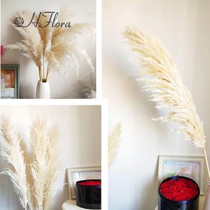 Loral holesale ededding ececorativo owers Ried Flowers Natral blanco Pampas ASS Rass grande ampampas ASS Rass - Product Image 6