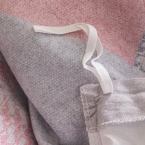 Juego de Ropa de Cama de Algodón Cepillado Duoxi Meimiankang para Otoño e Invierno, 4 Piezas, Color Sólido, Estilo Simple, Ecológico - Product Image 1