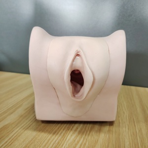 Modelo de simulador de anticoncepción femenina avanzado DARHMMY para Educación de Planificación Familiar de Ciencias Médicas - Product Image 5