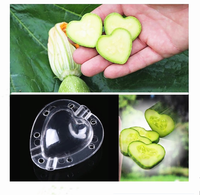 Moule de culture en plastique transparent de haute qualité pour fruits et légumes, outil de jardinage, moule à fraises en forme de cœur