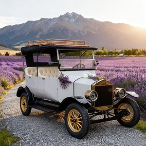 Carrito de Golf Eléctrico de Lujo de 6 Plazas con Certificación <span class=keywords><strong>EEC</strong></span>/CE, Estilo Retro Vintage para Transporte de Huéspedes en Resorts y Hoteles - Product Image 6