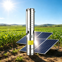 Pompe solaire submersible à double usage AC/DC, haut débit, grand calibre, pour l'irrigation agricole, en acier inoxydable, pour puits profonds