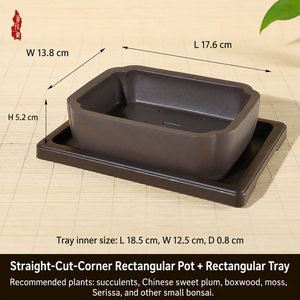 Kare Yaratıcı Çin Tarzı Reçine Saksı, Balkon ve Masa Üstü için Kök Kontrol Tasarımlı Orkide, Sukulent ve Kaktüs İçin - Product Image 2