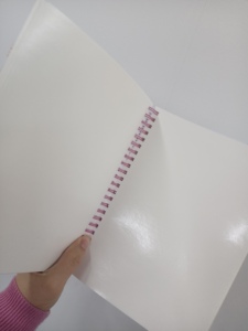 Dễ thương màu tái sử dụng Tạp Chí hoa giáng sinh Sticker cuốn sách của bản vẽ đã hoàn thành - Product Image 5