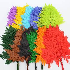 Venta al por mayor mejor venta preservada hoja de helecho de montaña floristería accesorios Dreid flor Davallia Mariesii para la decoración de vacaciones - Product Image 1