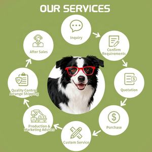 Gouttes personnalisées pour les taches de larmes chez les chiens et les chats avec de la <span class=keywords><strong>camomille</strong></span> et de la lutéine, éliminateur de taches d'infection oculaire, gouttes nettoyantes pour les larmes pour animaux de compagnie - Product Image 3