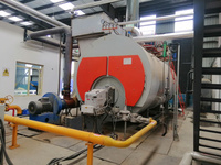 Chaudière à vapeur au gaz diesel GPL de 30, 50, 70, 100, 150, 200, 300, 350, 400, 600, 700, 1000, 1500 CV