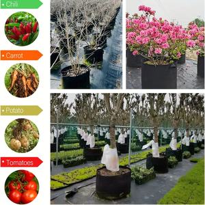 Sacchi da Coltivazione da 5 Galloni per Mirtilli in Tessuto per Esterni e Interni, Vasi per Semenzai e Piantine con Fioriera in Feltro per la Cura delle Piante - Product Image 3