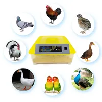 Incubateur numérique automatique pour volailles, capacité de 48 œufs : outils d'incubation idéaux pour l'éclosion des poussins, des cailles et des oies