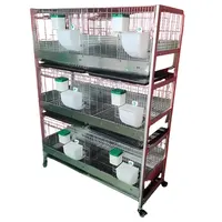 Cages d'élevage de lapins galvanisées à chaud pour animaux