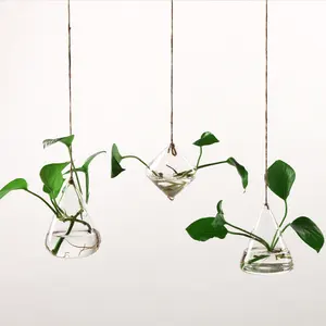 透明悬挂不同形状的玻璃室内植物玻璃容器