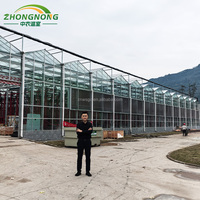 Grandes serres agricoles automatisées en verre, peu encombrantes, avec système de jardinage aéroponique rotatif en tour et système hydroponique pour feuilles