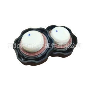 Bouchon d'huile moteur Xuanyou Auto Parts 1014080FB040 pour camionnette JAC Shuailing Hantu - Product Image 1