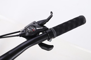 2025 vendita calda 7 giorni di spedizione all'ingrosso 40% prezzo di fabbrica caduta 8 velocità 26 pollici donne/giovani Mountain bike freno a disco in acciaio - Product Image 5