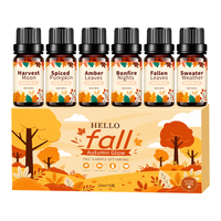 Ensemble d'huiles essentielles d'aromathérapie d'automne 6x10ml, huiles parfumées, coffret cadeau pour diffuseur de spa à domicile