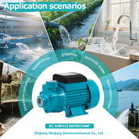Mini pompe à eau solaire QB60 24V 230W à courant continu à balais pour l'irrigation et l'énergie solaire – Vente en gros