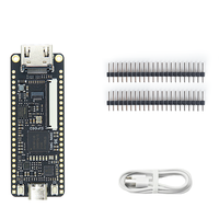 시피드 탕 나노 9K FPGA 개발 보드 GOWIN GW1NR-9 RISC-V