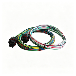 Faisceau de câbles automobile 12V personnalisé de haute qualité avec noyau en cuivre pour K Swap Emtron <span class=keywords><strong>Fueltech</strong></span> Haltech Link Motec Forums MSW ECU PVC - Product Image 2