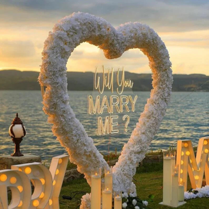 Enseigne néon personnalisée décorative de haute qualité douce personnalisée veux-tu m'épouser vente en gros laisse rester enseigne au néon pour la fête - Product Image 3