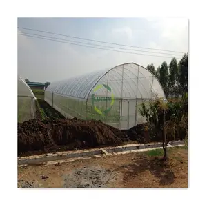 Aluminum Equipment Solar-Powered Manual Greenhouse Roll Up 2 Doors Drip Irrigation System Tunnel Hydroponic Small Green House