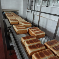 Ligne de production de pain grillé/pain en pain HYMBDG-600 100-400 kg/h