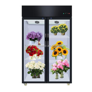 Réfrigérateur réfrigéré <span class=keywords><strong>de</strong></span> conservation des fleurs <span class=keywords><strong>de</strong></span> congélateur <span class=keywords><strong>de</strong></span> haute qualité porte en verre - Product Image 4