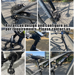 Ristar Customization Riemenantrieb E-Bike MTB 29 Zoll Mittelmotor Trekking E-Bike Herren Spezialisiertes Mountainbike RSD-409 Akku Fat Ti - Product Image 4
