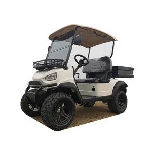 4 Wheels Electric 2 Seater Golf Cargo at Good Price