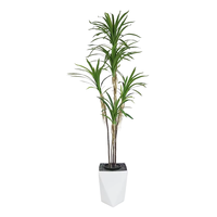 Oh Arts - Personalización de Árboles Artificiales de Dracaena de 210 cm, Dracaena Cochinchinensis, Dracaena Angustifolia