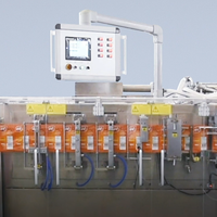 Machine de remplissage de sachets entièrement automatique de la marque Acepack pour le ketchup, la mayonnaise, la sauce, etc.