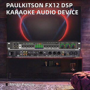Paulkitson Processeur Audio DSP Professionnel FX12 Effector, Appareil Karaoké Métallique, Appairage Stéréo, Entrée/Sortie XLR, LED Numérique - Product Image 2